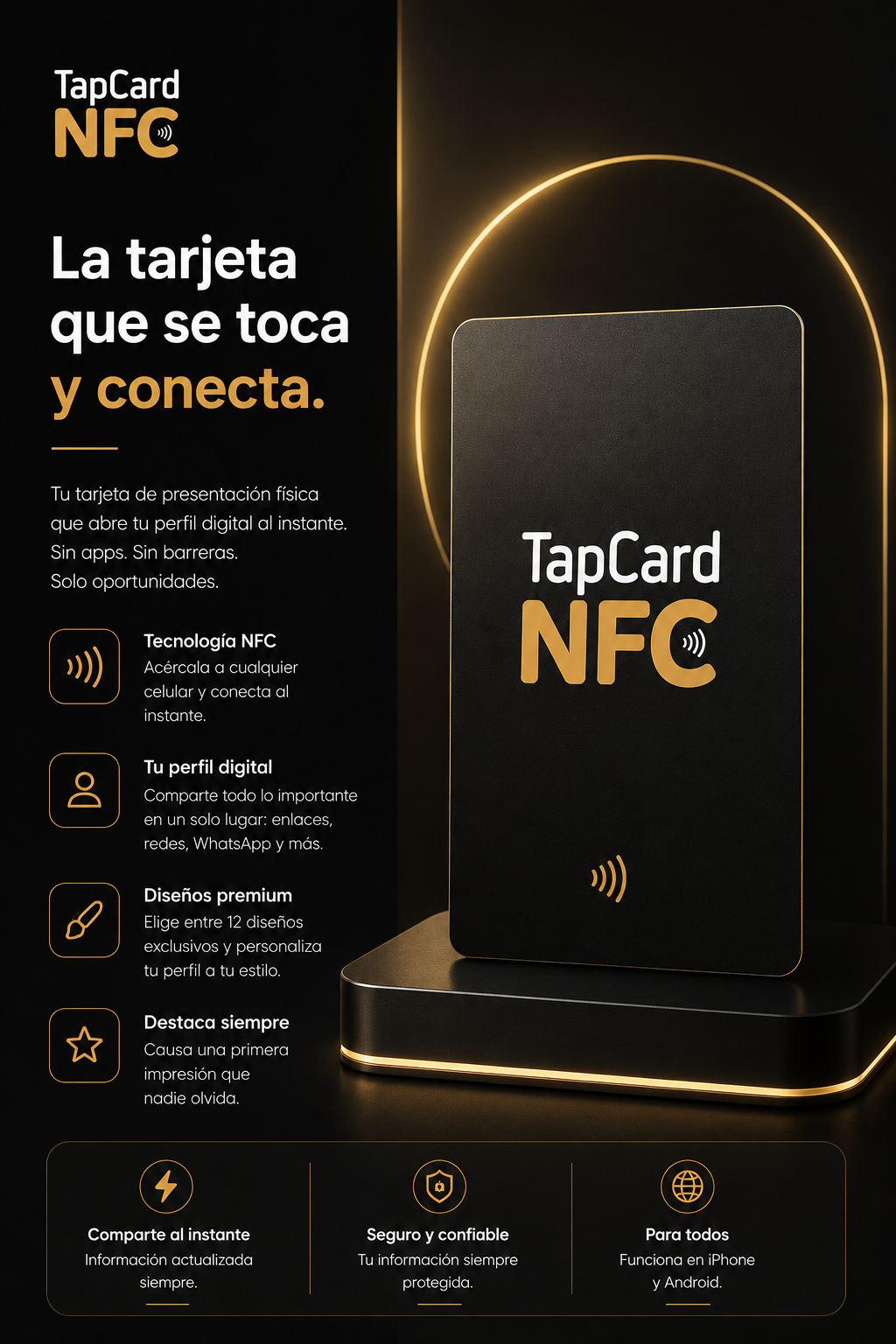 TapCard App Web - 6 meses